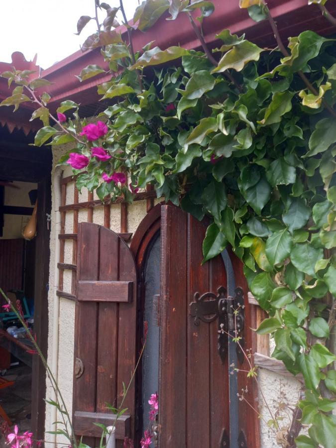 Sunday 2Br Welcome Stay Private Holiday House In Chalkidiki - Close To Karydi Beach Vourvourou Eksteriør billede